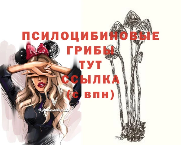 не бодяженный Кукмор