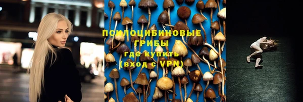 не бодяженный Кукмор