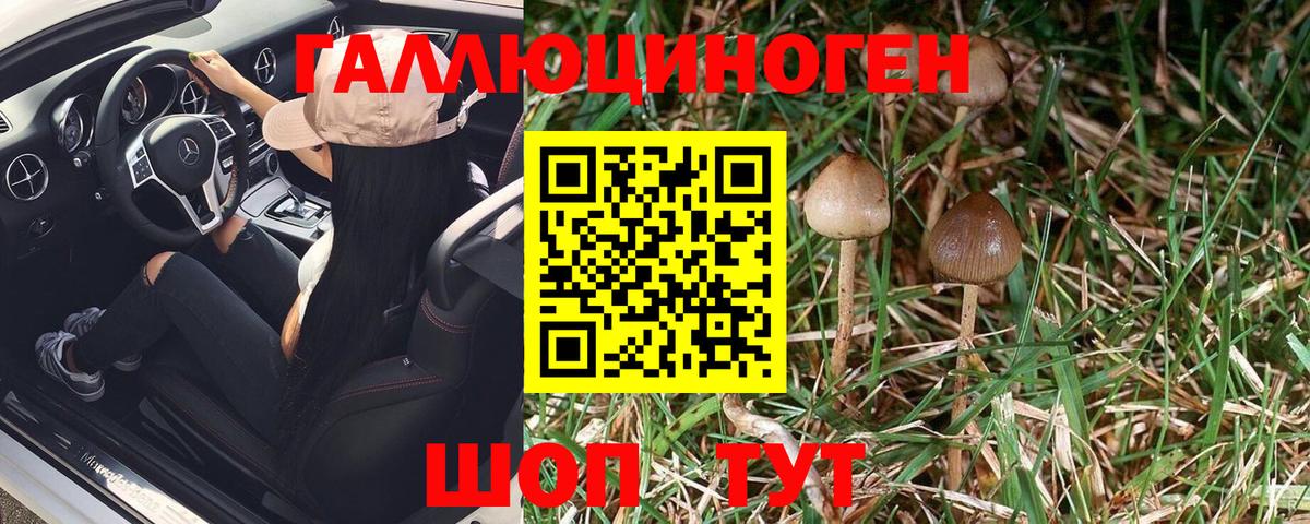 Кумертау  Псилоцибиновые грибы Psilocybe  как найти закладки  Вход с VPN 